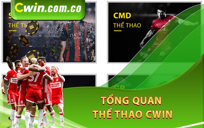 Tổng quan thể thao Cwin