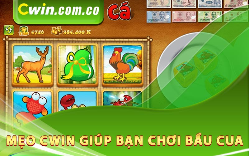 Mẹo Cwin giúp bạn chơi bầu cua dễ dàng hơn