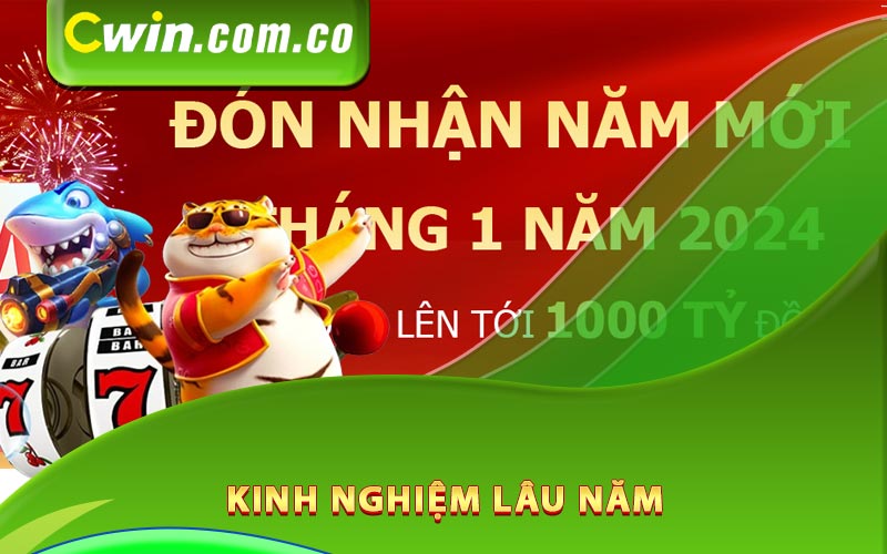 Kinh nghiệm lâu năm