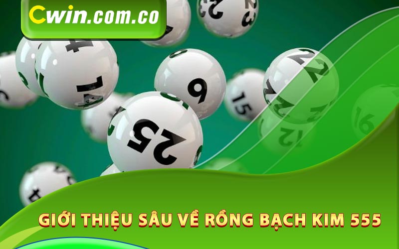 Giới thiệu sâu về rồng bạch kim 555