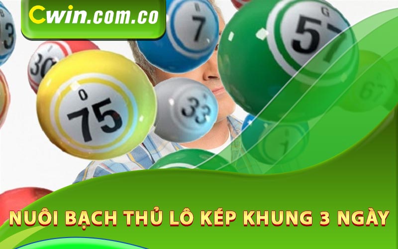 Nuôi bạch thủ lô kép khung 3 ngày